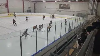 February 3rd - OWGK vs Nepean White - Period 2
