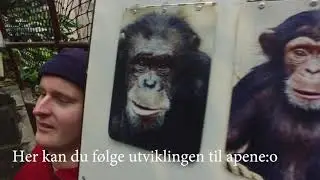 Bloggpost 7, Gyro. Magnus G.L