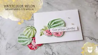 Watercolor Melon - Melonen mehrfarbig und rund 🍉