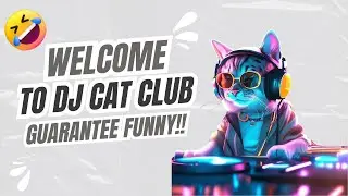Welcome to DJ Cat Club, Guaranteed to be Funny!! 🐱🍾🤣🎙️🎵 #djcat