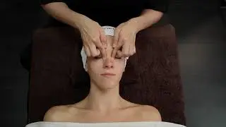 The 