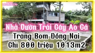 Đã Bán! Nhà Vườn Cây Ao Cá 1000m2 Chỉ 800tr Trảng Bom Đồng Nai Cách Biên Hòa 20km - Nhà Đất Việt Nam