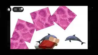 Part 9 Dolfin Vs Shark:The Last Of It. 