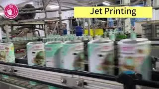Best Bubble Tea Canned Drink Gummy Boba Latte Production Process