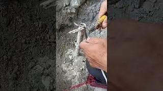 RADAR LEVEL TRANSMITTER ACCIDENTALLY CUTTED THE SIGNAL CABLE