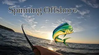 Spinning Offshore di fine estate | Lampughe, Palamite e giovani Ricciole