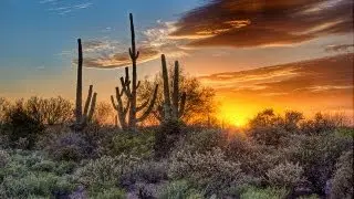 Arizona -- The Apache Trail Drive
