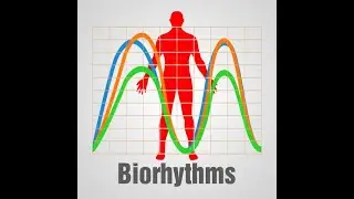 Erik on Biorhythms