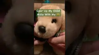 Gear Up My ESSA Millie With Me! || #esa #essa