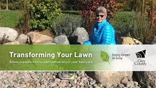 Transforming Your Lawn | Going Green in Grey Stories