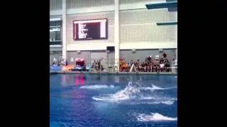 2011 USA Diving Boys Group B 3-meter