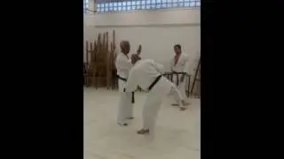 SHOTOKAI Karate-Do  KISEIKAI /ISKA Mawashi Geri sensei Yves Moshe Ayache