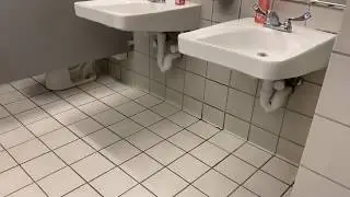 PUBLIC RESTROOM REVIEW- Michaels Women&rsquo;s Restroom (Cranberry Township, PA)