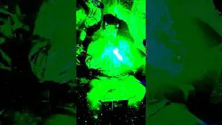 new king amanda cook (sadfox cover) #music #worship #gospel #christian #jesus #praise #God #song #no