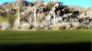 The Stone Canyon Club | Tucson Golf Estates