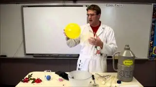Teaching With Liquid Nitrogen - Extreme Science Labs