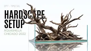 UNS 120S Planted Tank Hardscape For Aquashella Chicago 2022 - EP17 Special