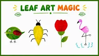 Amazing Leaf Art Compilation| Creative Nature Art Ideas