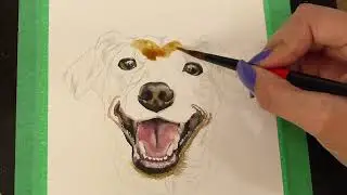 Como pintar pelo de cachorro Parte I | Pintura pet - Aquarela |