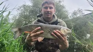 TOPWATER Chub hitting hard !!!!/klenie udeżają w Cicady !!!!