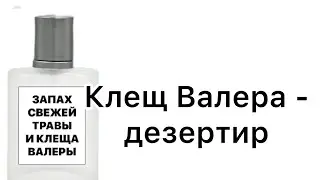 Клещ Валера, или Развод на 829 рублей.