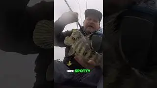 Finesse Jig For Spotties