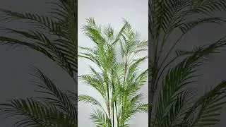 Enhance Your Business's Aesthetics with Lifelike Artificial Areca Palm Trees