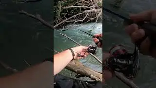 Masterare la Tecnica - Trote Impossibili