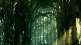 Twisted Chain [tC] - Lost & Confused
