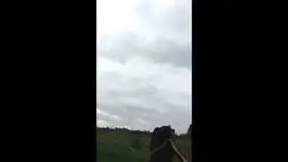 Clay shooting Bisley