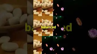 🌿 Раскройте секрет: как фасоль Лима укрепляет ваш иммунитет! 💪