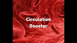 circulation booster