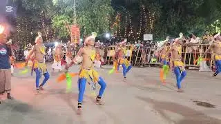 දෙවන මලුව පෙරහැර 2026 කැලණිය රජමහා විහාරය 