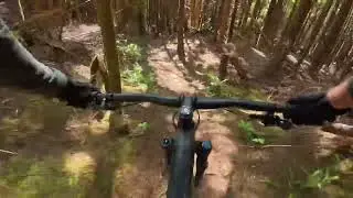 Astoria lil drops and big fun #pnw #yt #capra #surly #karatemonkey 
