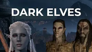 Drow vs Dunmer