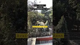 Dlf Phase 3 VBlock Gated & Park Facing Kothi Available For Rent @vikasg447 #shorts #dlfphase3