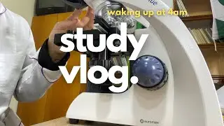 productive med school vlog🧠: 4am cramming, a LOTS of notes, medical student 