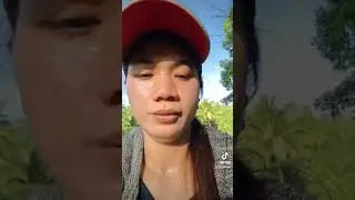 push pa toy