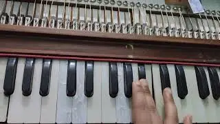 दुडीवरी दुडी गवळणी.....#gaulani #harmoniumcover #harmoniumsargam #harmonium 