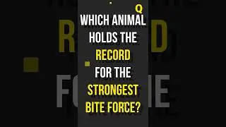 Which Animal Has the Strongest Bite Force? ANIMAL QUIZ | ANSWER IN 2 SECONDS #animals #animalshorts