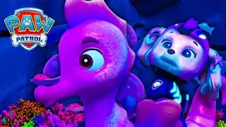 Filhotes Aquáticos ao resgate! 💦 - Patrulha Canina PAW Patrol - Desenhos animados para crianças