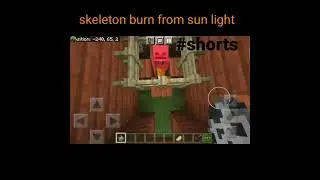 Minecraft Logic #1 #shorts #minecraft #dracogamer