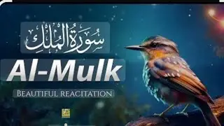 Surah Mulk ||reading and Arabic text||reaction Surah mulk||this is my YouTube channel Islamiccontent