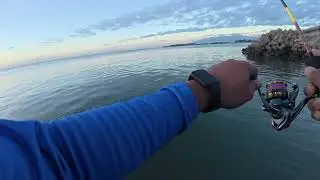 Episode 7: Sunday coastal activities 🎣