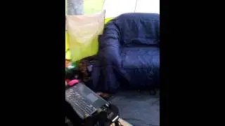 Instant cabin 9 person 2 room w screenroom