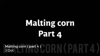 Malting Corn ( part 4 )