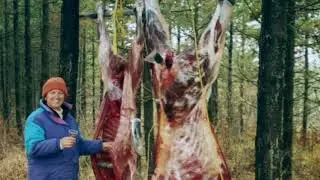 The Wild Guy & his wife moose  hunting, cutting , cutting, and Rapping  Series #4