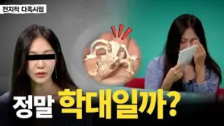 고민 많았습니다... 전참시 해골도마뱀의 원인이 무엇일까요?