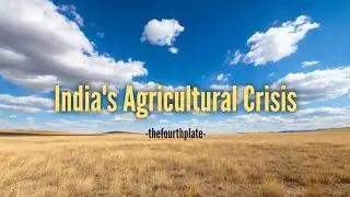India's Agricultural Crisis: A national crisis in plain sight ⚠️#india #agriculture #plains #gogreen
