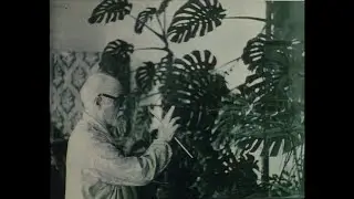 Henri Matisse - Voyage (franz&ouml;sischer Maler 1869-1954)